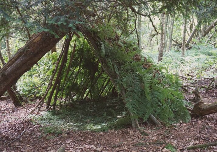 Ghid: Cum să construiți un buncăr în pădure