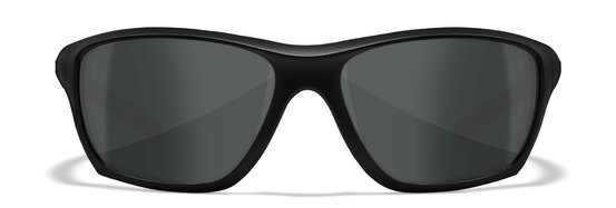 Taktické okuliare WileyX Aspect Grey/Matte black f