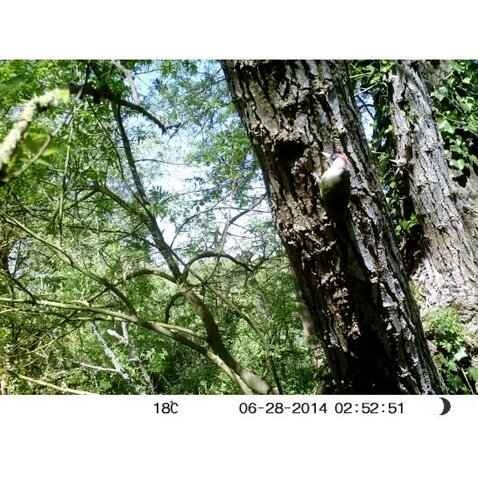 Fotopasca Num´Axes (Francúzsko) standard Fotopasca Num´Axes (Francúzsko) standard