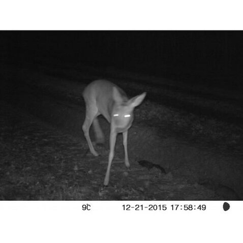 Fotopasca Num´Axes (Francúzsko) standard Fotopasca Num´Axes (Francúzsko) standard