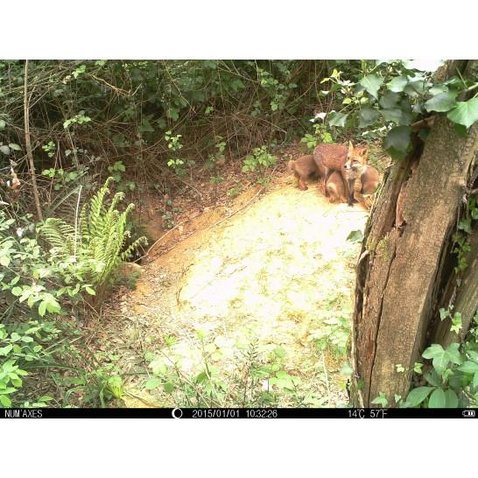 Fotopasca Num´Axes (Francúzsko) professional