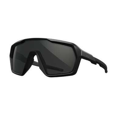 Ochelari de soare WileyX Citadel Grey/Matte Black
