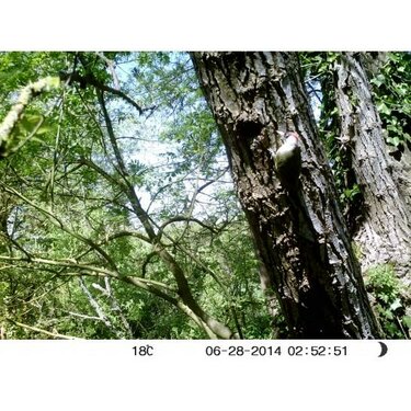 Fotopasca Num´Axes (Francúzsko) standard Fotopasca Num´Axes (Francúzsko) standard