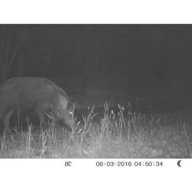 Fotopasca Num´Axes (Francúzsko) standard Fotopasca Num´Axes (Francúzsko) standard