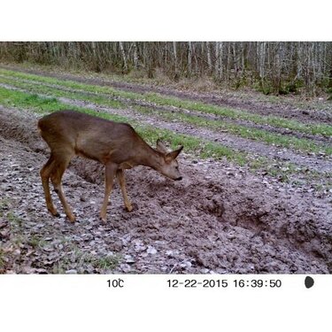 Fotopasca Num´Axes (Francúzsko) standard Fotopasca Num´Axes (Francúzsko) standard