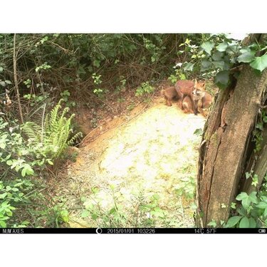 Fotopasca Num´Axes (Francúzsko) professional