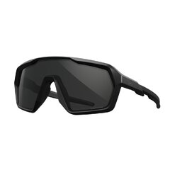 Ochelari de soare WileyX Citadel Grey/Matte Black