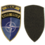 Embleme cu scai